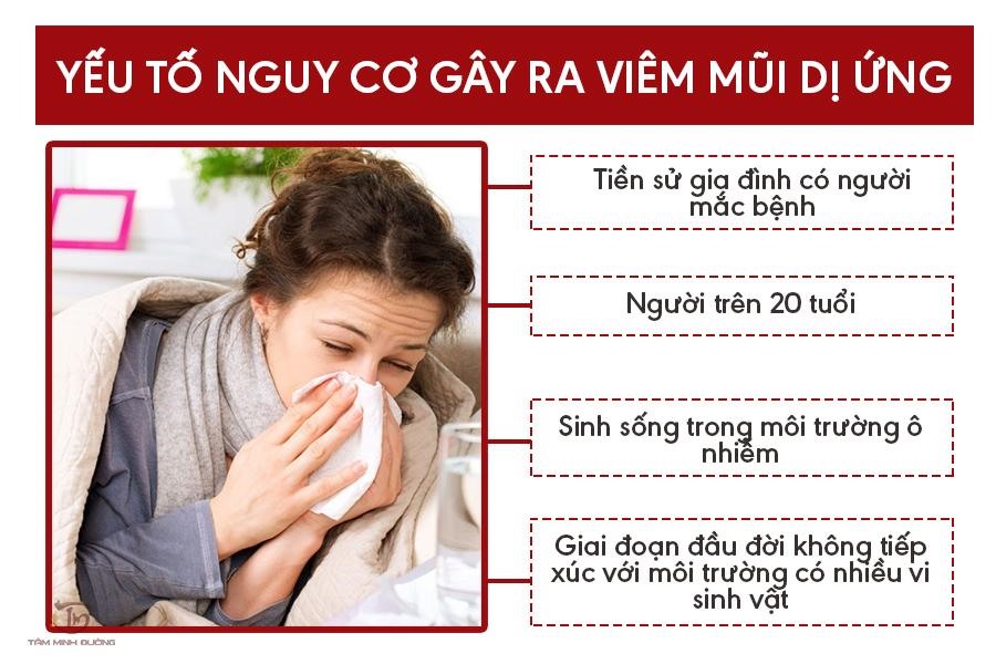 Nguyên nhân gây viêm mũi